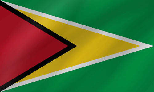 Guyana flag