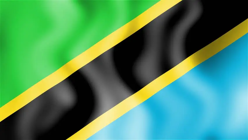 Tanzania flag