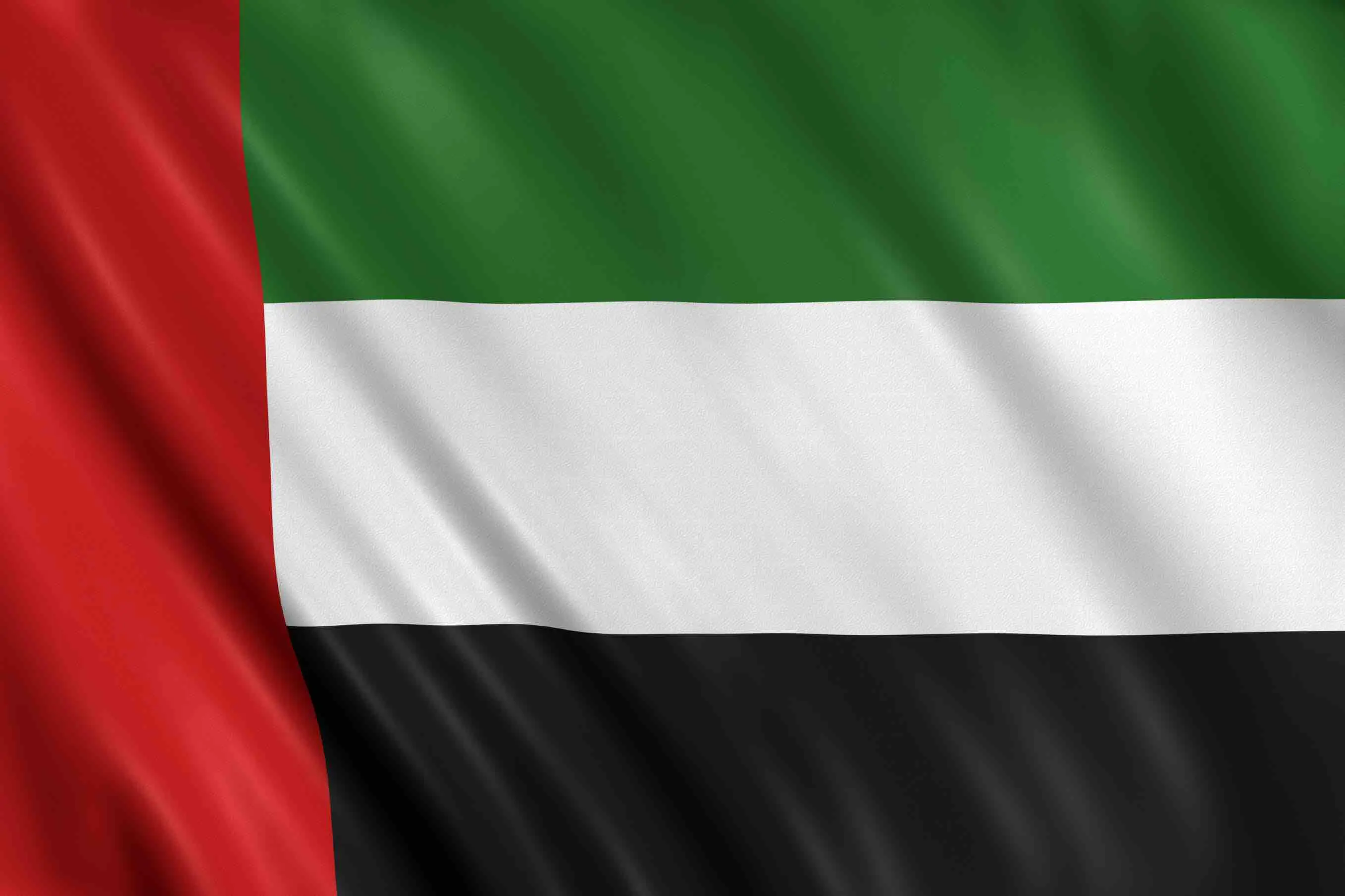 UAE flag